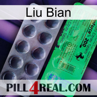 Liu Bian new04